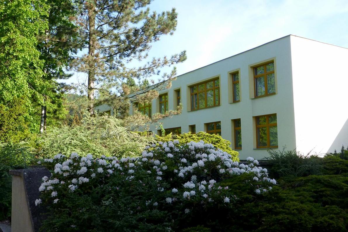 Penzion Fit Velké Losiny Exterior photo